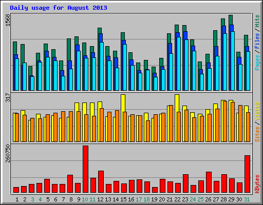 Daily usage for August 2013