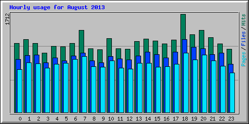 Hourly usage for August 2013