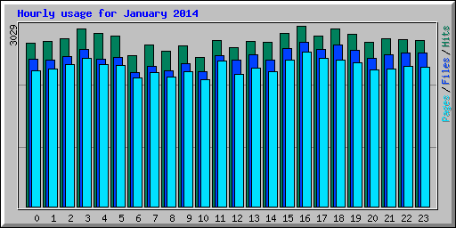 Hourly usage for January 2014